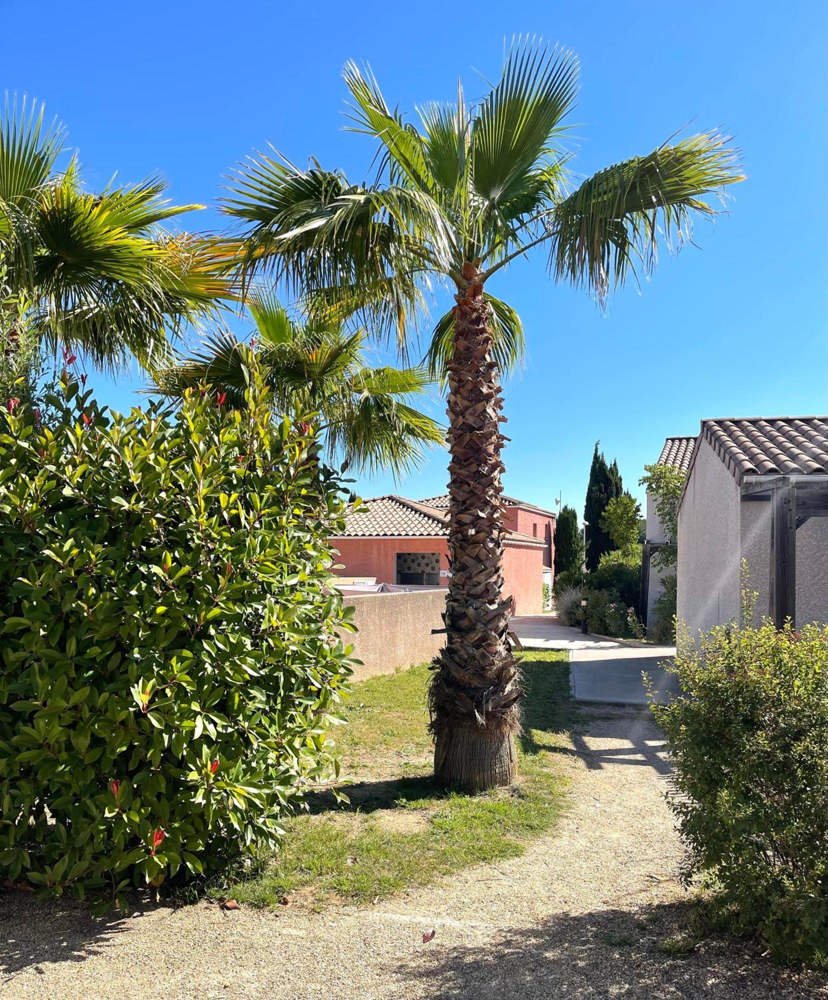 Terres De France - Le Domaine De Bacchus Hotel Saint-Christol  Exterior photo
